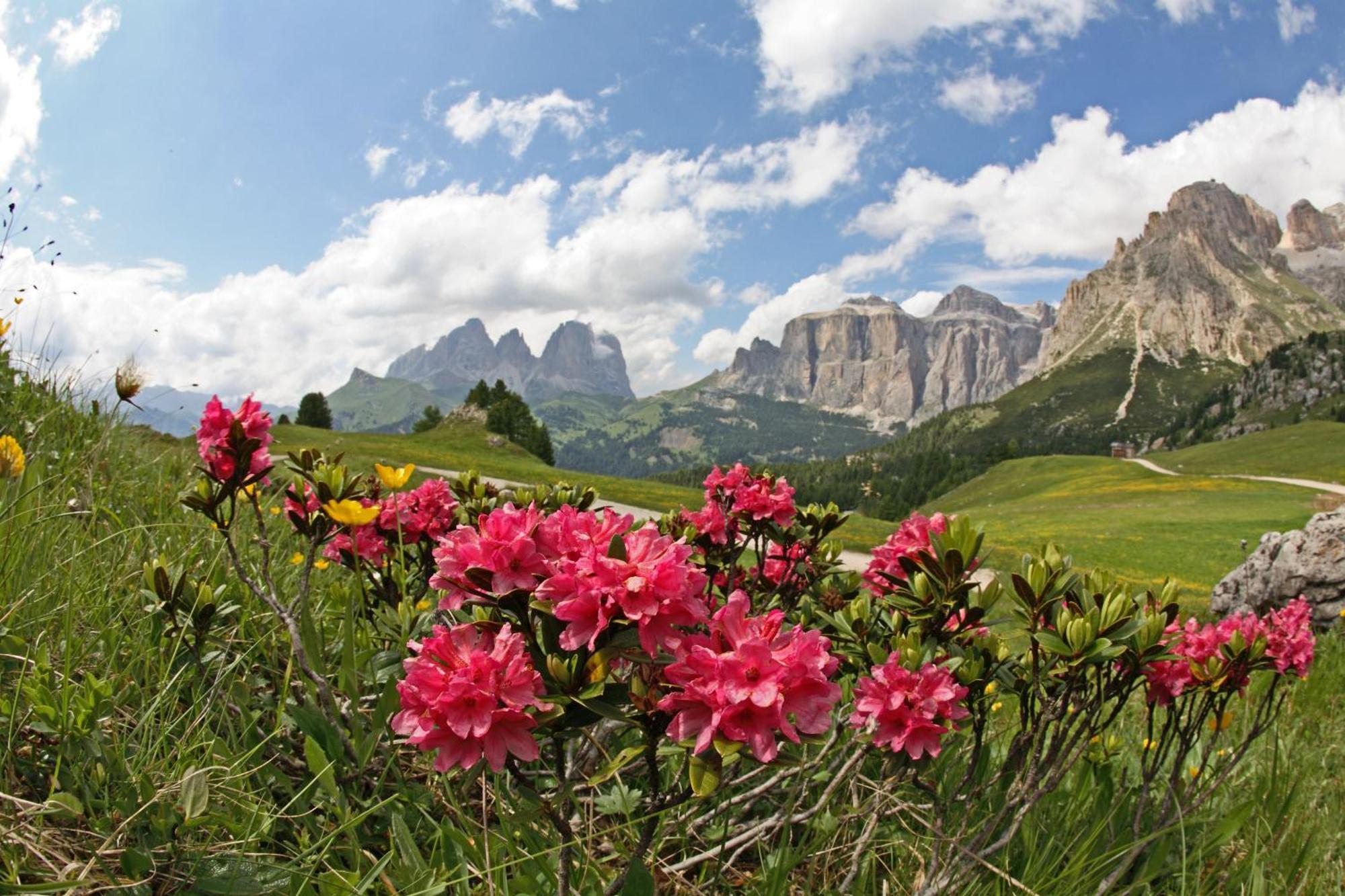 Hotel Rubino Deluxe Campitello di Fassa Esterno foto